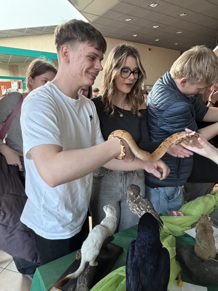 Grupa młodych osób dotyka i ogląda dużego węża na wystawie edukacyjnej z wypchanymi ptakami i zwierzętami.