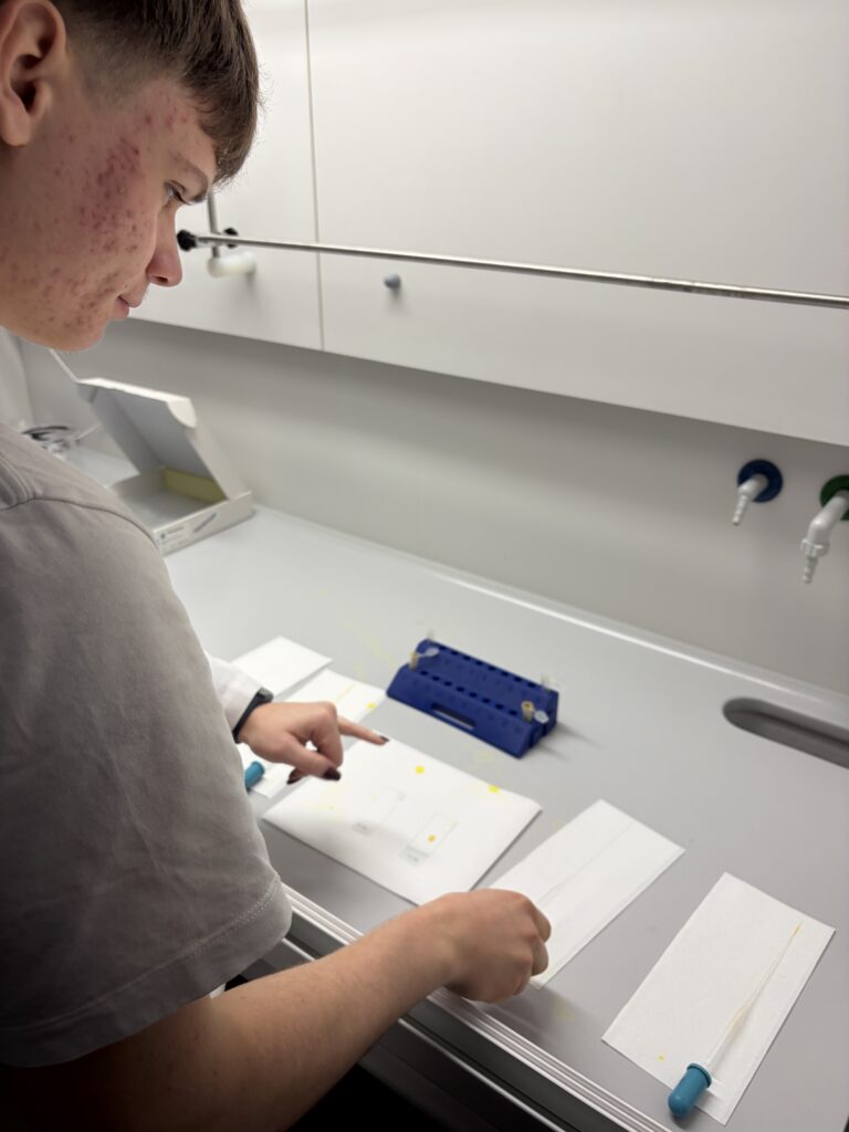 Młoda osoba pracuje w laboratorium, nanosząc krople żółtego płynu na szkiełka mikroskopowe.