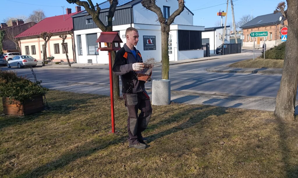 Mężczyzna rozsypuje ziarenka z pojemnika na trawie w miejskim parku przy słupie z karmnikiem dla ptaków.