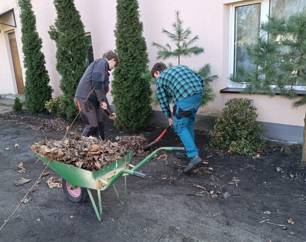 Dwaj mężczyźni grabią liście i przekładają je do zielonego taczki stojącej na podjeździe przed budynkiem mieszkalnym.