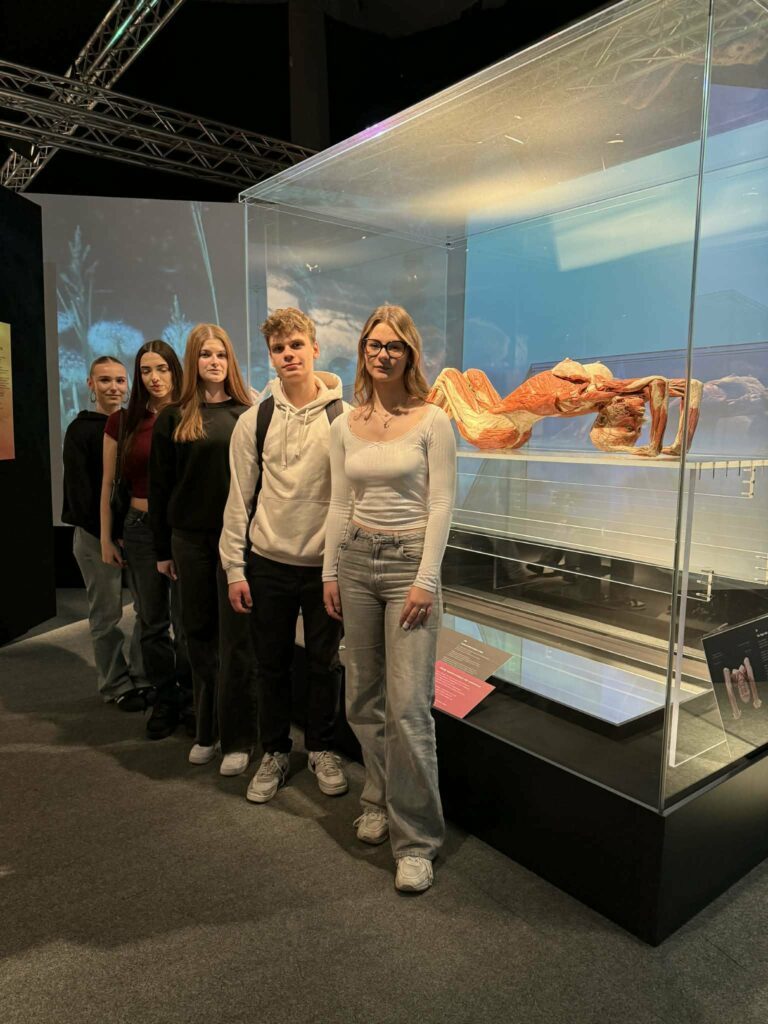 Grupa młodych osób stoi w muzeum obok szklanej gabloty z modelem ludzkiego ciała ukazującym mięśnie.